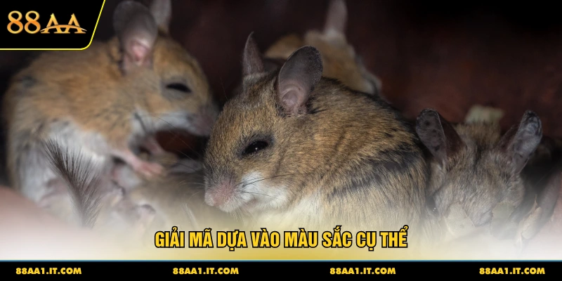 Giải mã dựa vào màu sắc cụ thể
